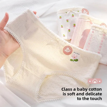 Lot de 5 Sous-Vêtements Bébé en Coton Doux – Confort Quotidien Petit Trésor
