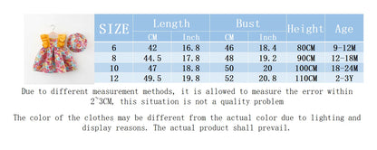 Robe Bébé Fille Fleurie à Manches Volantes – Style Princesse